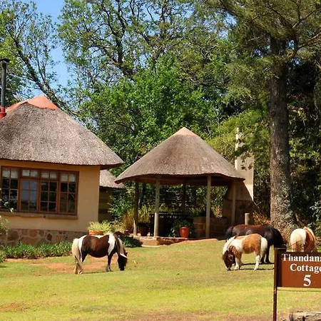 Berghouse And Cottages Langkloof Exterior photo